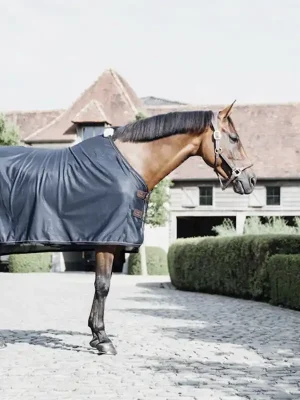 Versand Am Gleichen Tag Kentucky Horsewear Mesh Fly Sheet navy , 125
