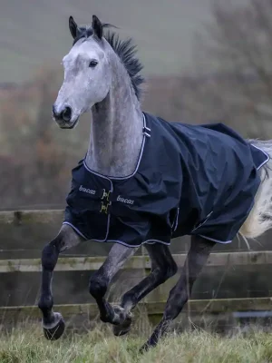 Zertifiziert Bucas Trot Turnout 200g - Black/White , 145