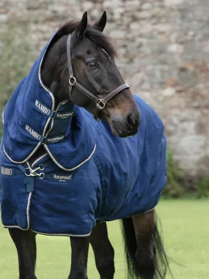 Top-Seller Horseware Deluxe Rambo Stable Plus 200g - Champagne/Navy , 140