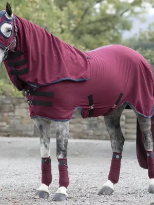 Aktuell Horseware Rambo Show Set Sheet - Burgundy , XS