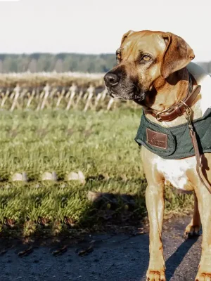 Kentucky Dogwear Hundedecke Dog coat  160g - Dunkelgrün , XXL Geprüft
