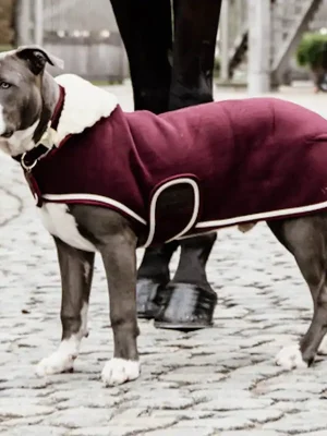Versand Am Gleichen Tag Kentucky Dogwear Hundemantel Heavy Fleece - Bordeaux , S/M
