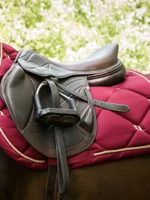 Neu Back on Track Nights Collection Schabracke Springen - Dunkelrot , Warmblut