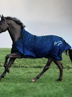 Imperial Riding Super-Dry 300g - navy , 105 Bestseller