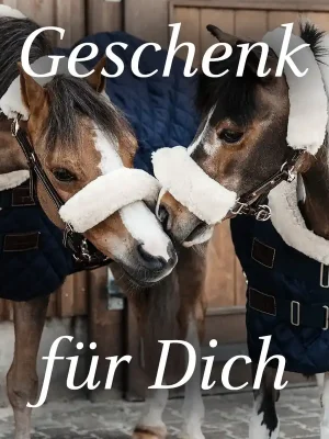 Beliebt HorSeven Einkaufsgutschein - 200 €, Alles Gute