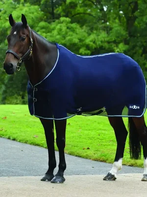 Neue Kollektion Saxon Element Net Cooler Standard - Navy/Blue, 105