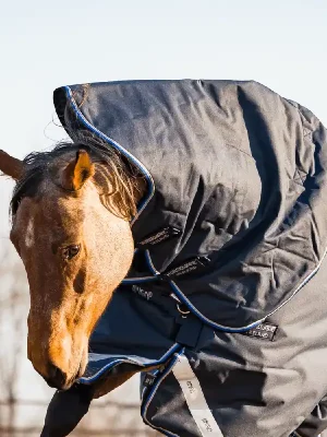 Aktuell Horseware Amigo Bravo 12 Hood 150g - Black/Titanium Grey/Silver, XL