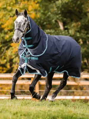 Bestseller Horseware Amigo Bravo 12 Plus Turnout Medium  250g - Navy/Titanium Grey/Silver, 155
