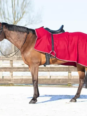 Abverkauf QHP Fleece-Ausreitdecke mit Ornament - grau/silber, L