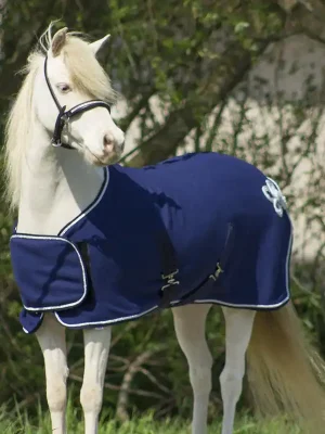 Sonderaktion QHP Fleecedecke Falabella mit Ornament - blau/silber, 80