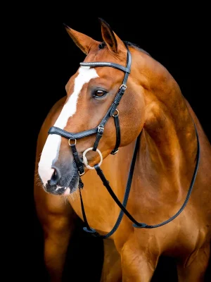 Angebot Horseware Micklem II Diamante Competition Bridle - Black, großes Warmblut