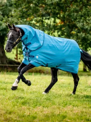 Abverkauf Horseware Amigo Hero 900D Revive Plus 50g - Seasonal Colour, 125