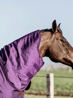 Aktuell Kentucky Horsewear Neck All Weather Waterproof Pro 150g - denim, M