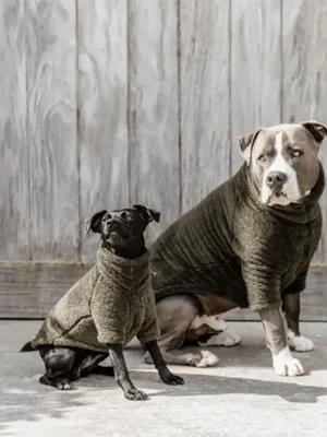 Markenprodukt Kentucky Dogwear Hunde Pullover Teddy Fleece - Tannengrün, S/M