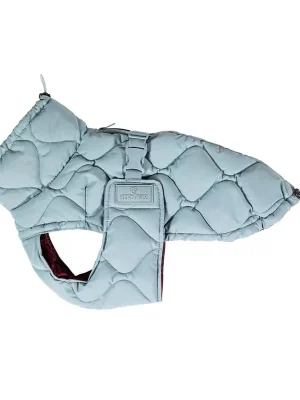 Direkt Vom Hersteller Kentucky Dogwear Hundemantel Winter Pina - Orange, XS