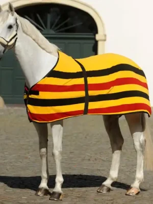 Abverkauf Kavalkade Fleece-Abschwitzdecke Deutschland - schwarz-rot-gold, 165