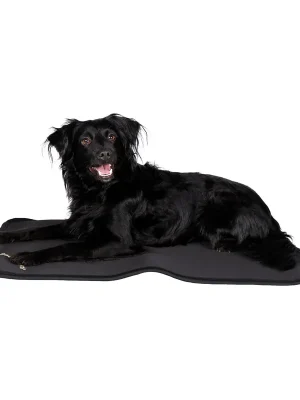 Zertifiziert Back on Track Hundematratze Cage Fit - schwarz, 120x74 cm