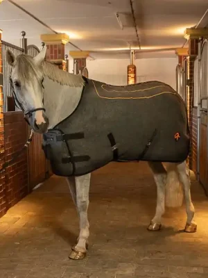 Abverkauf Sunride Heizdecke St. Moritz - grau, 125 cm