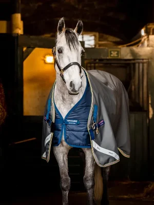 Versand Am Gleichen Tag Horseware Amigo Bravo 12 Plus Bundle 50g + 100g und 200g Liner - Black/Titanium Grey/Silver, 160