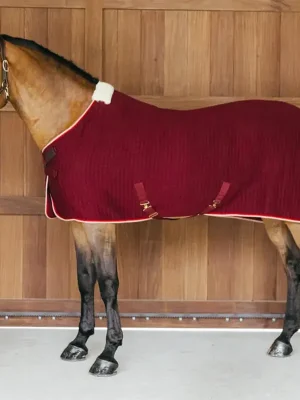 Versand Am Gleichen Tag Kentucky Horsewear Cooler Rug PROTherm - navy, 145