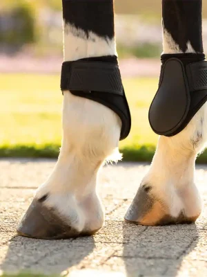 Angebot LeMieux Arika Fetlock Boot - Black, L