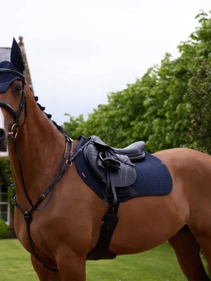 Abverkauf LeMieux Essence Eurojump Schabracke - Navy, L
