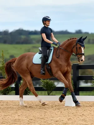 Zertifiziert Weatherbeeta Suede Elite Air-Tec Dressage Saddle Pad - Navy, S/M