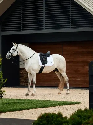 Abverkauf Weatherbeeta Satin Luxe Air-Tec Dressage Saddle Pad - Burgundy, L