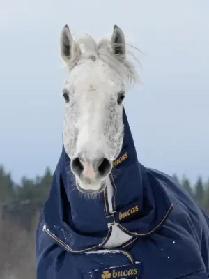 Abverkauf Bucas Irish Turnout Combi Neck 0g - marine/or - Couvre-cou , M