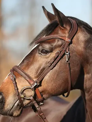 kavalkade trense everyday eng. komb.reithalfter geoeltes leder pony gross braun Kostenloser Versand