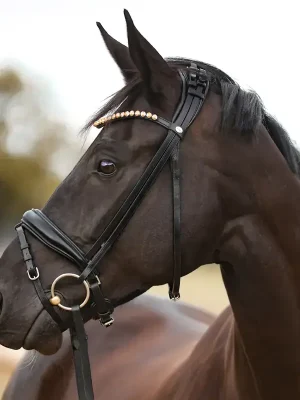 Aktuell kavalkade trense fortuna mit schwed.komb. reithalfter schwarz warmblut