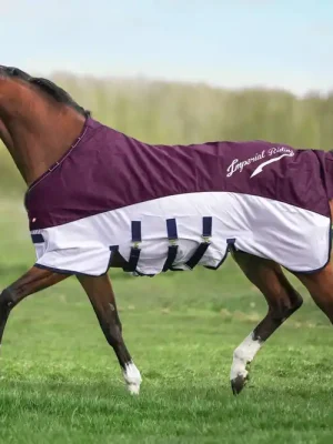 imperial riding regen fliegendecke irhsuper dry sommer 2026 bordeaux 125 cm Günstig