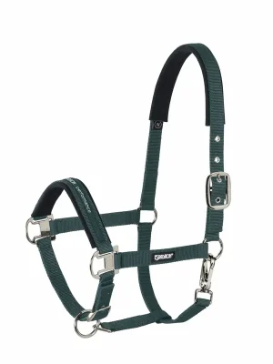 Aktuell eskadron halfter pin buckle core pony gross racinggreen