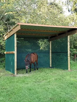 Weidehütte, Offenstall - 3,50 x 3,50 m mit Vollholzwand und Windschutznetz  »  251110_1-W1 Abverkauf