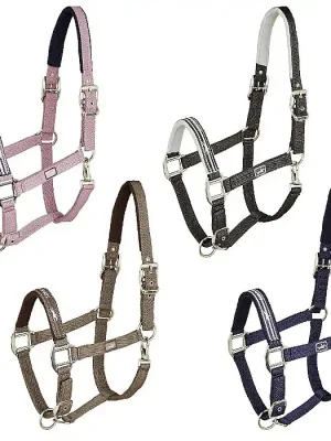 Mega-Angebot Schockemöhle Sports Halfter Memphis  »  210095_W-GA