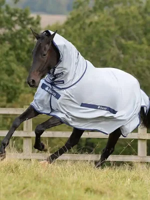 Zertifiziert Bucas Buzz Off & Neck  »  210914_155-IA