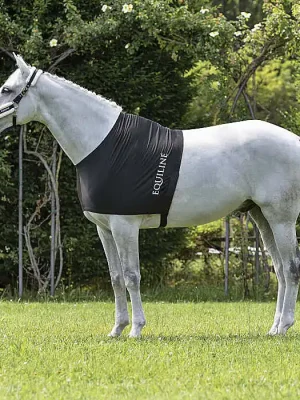 Equiline Brustschutz Edinburgh  »  221998_M-MA Highlight