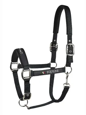 Echt Equiline Halfter Timmy  »  222002_V-MA