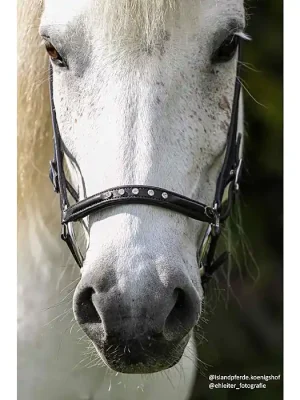 Preisreduziert HILBAR Nasenriemen Silver Diamond  »  210576