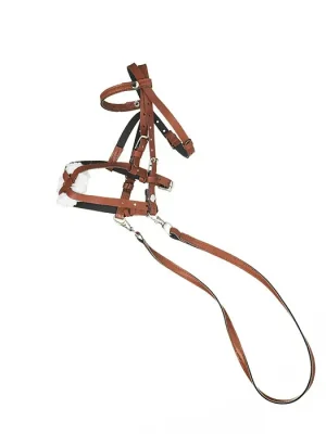 Letzte Chance Hobby Horse Trense  »  223758