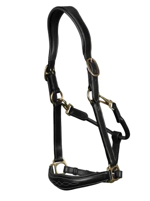 Nur Für Kurze Zeit Halfter 2-in-1 Transport&Stall