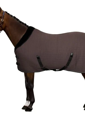 Abschwitzdecke Franka Top-Preis