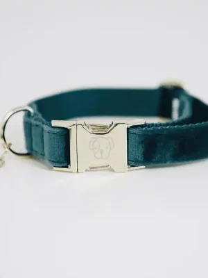 Hunde Halsband Velvet Saisonangebot